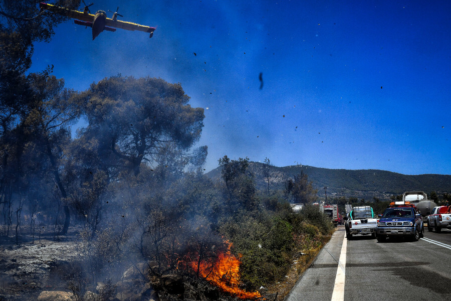 ΦΩΤΙΑ ΣΟΦΙΚΟ