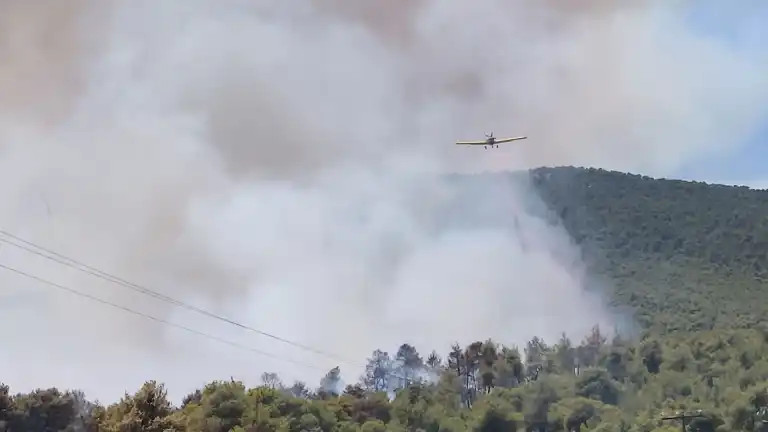 ΦΩΤΙΑ ΣΟΦΙΚΟ