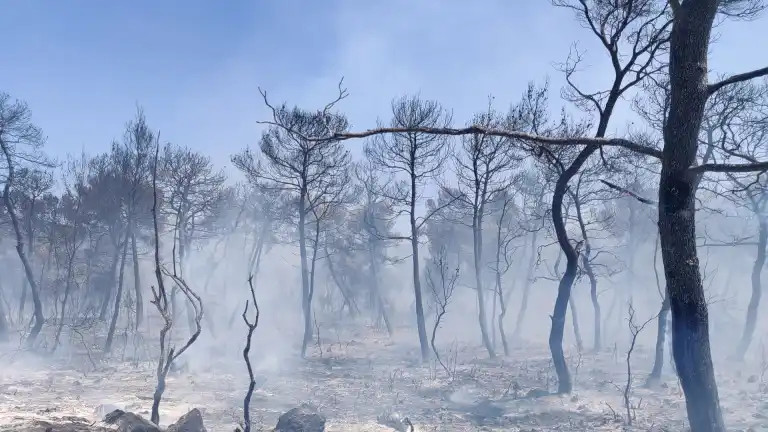 ΦΩΤΙΑ ΣΟΦΙΚΟ