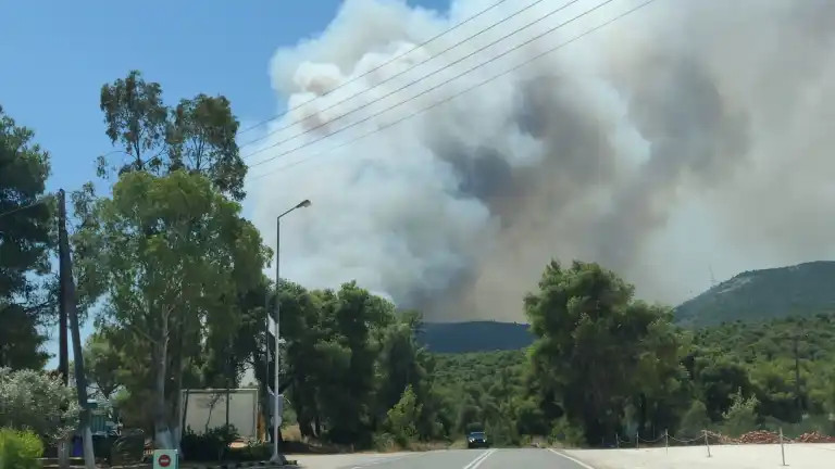 ΦΩΤΙΑ ΣΟΦΙΚΟ