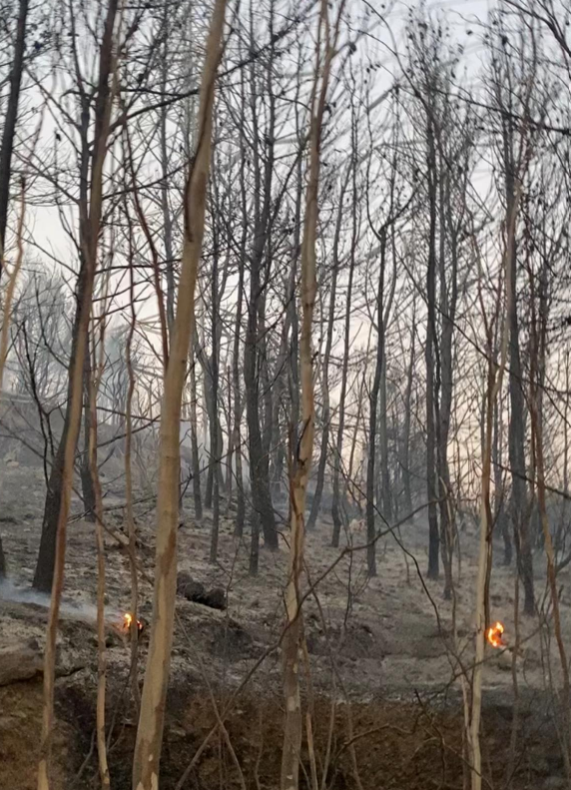 ΑΘΗΝΑΙΣ ΝΕΓΚΑ2