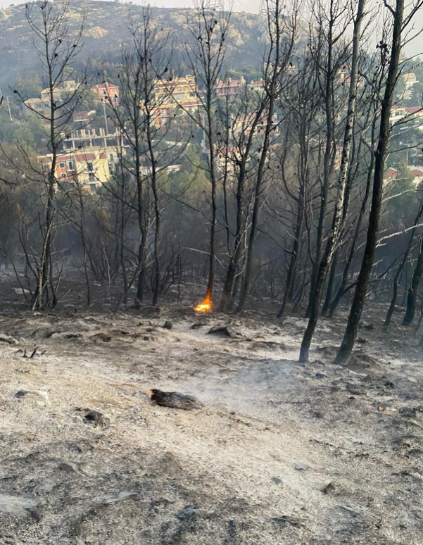 ΑΘΗΝΑΙΣ ΝΕΓΚΑ1