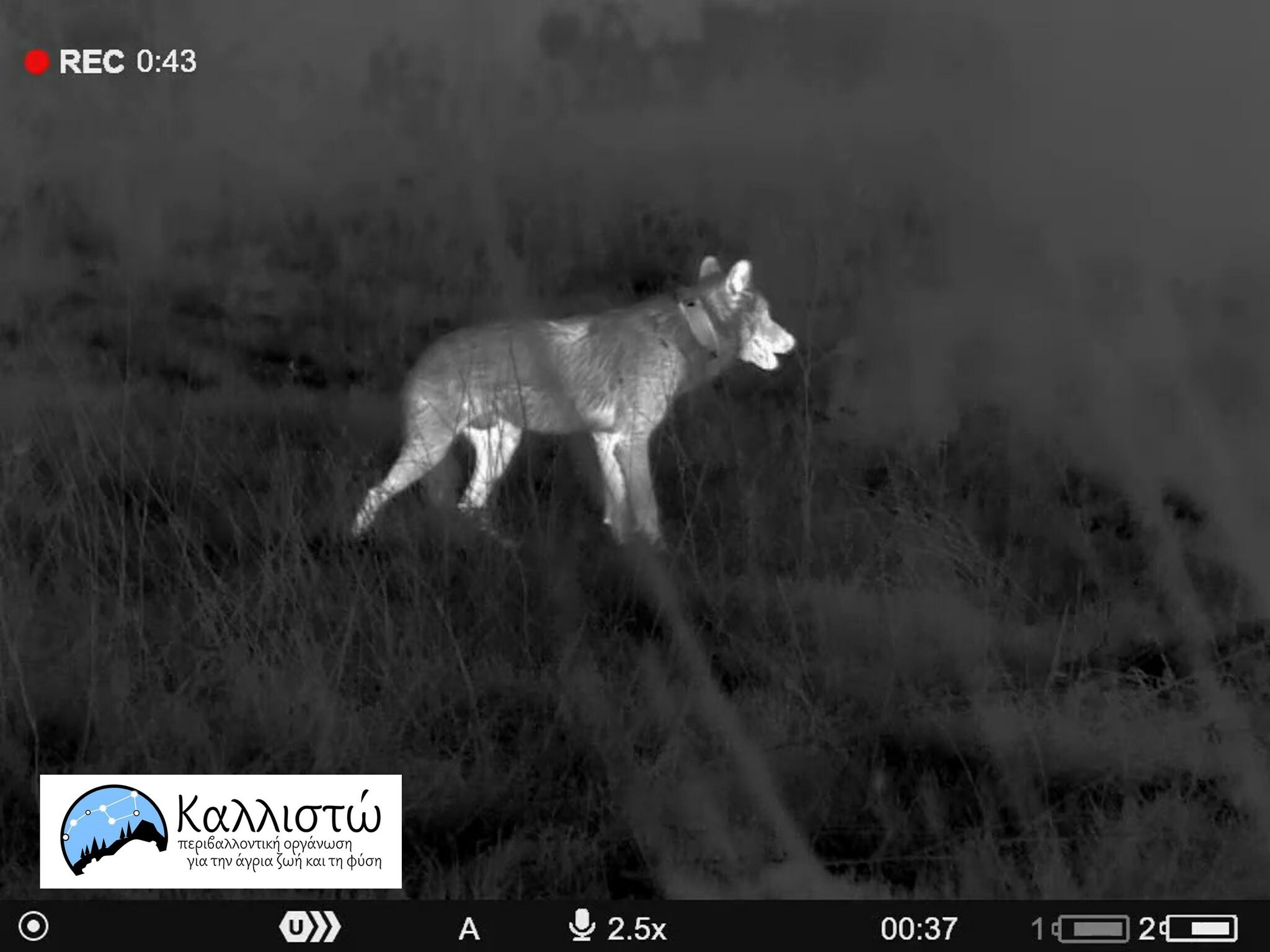 468281696 991435596359111 6040324836144000419 n ea8f4