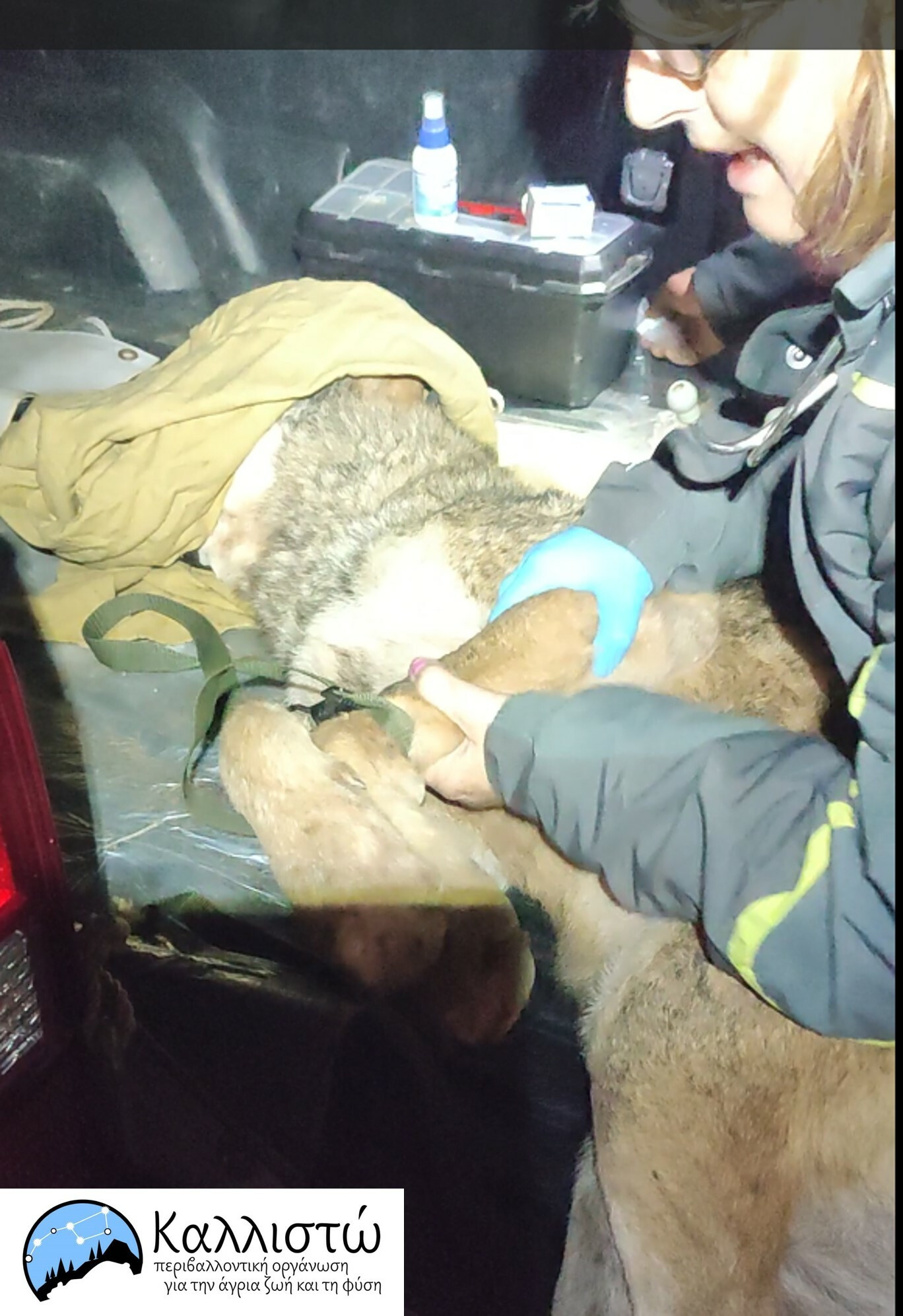 468324568 991435659692438 6220545977536639077 n 41e2a