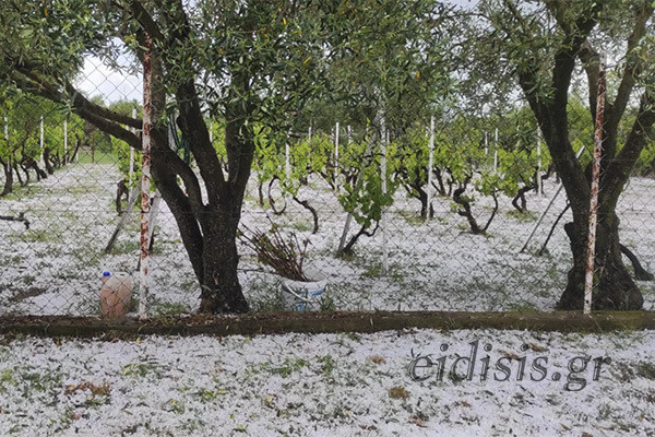 xalazi kilkis 2 d311c