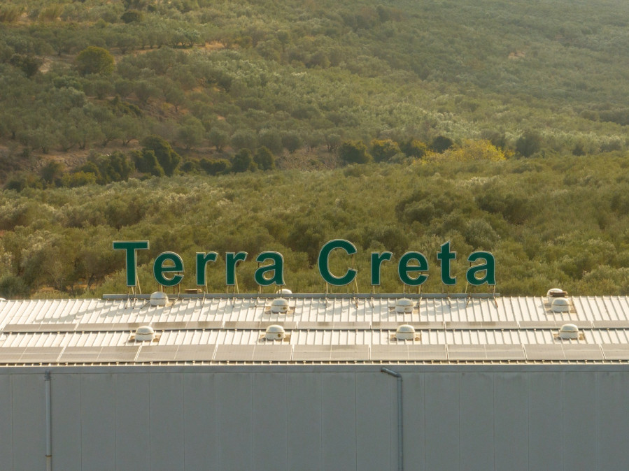 Terra_Creta_photo3_5f333.jpg