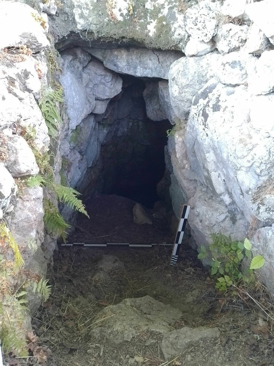 krini_19a7b.jpg