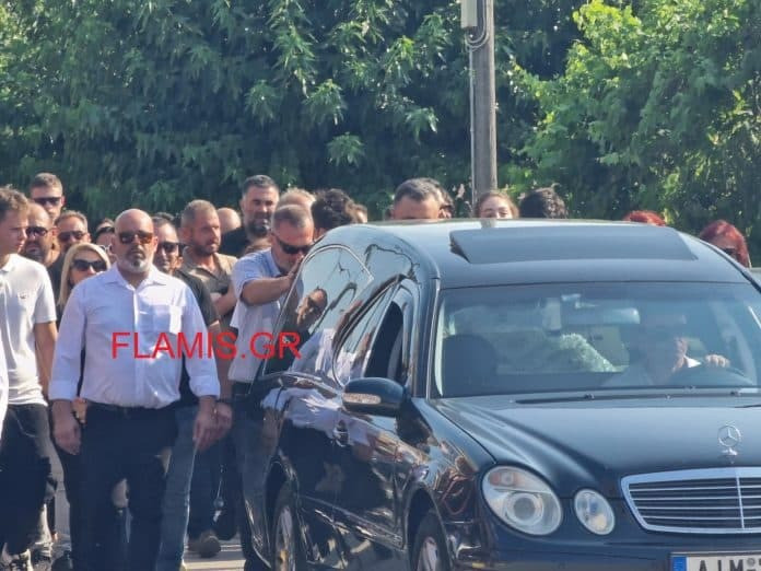 kideia arta neo 8844b