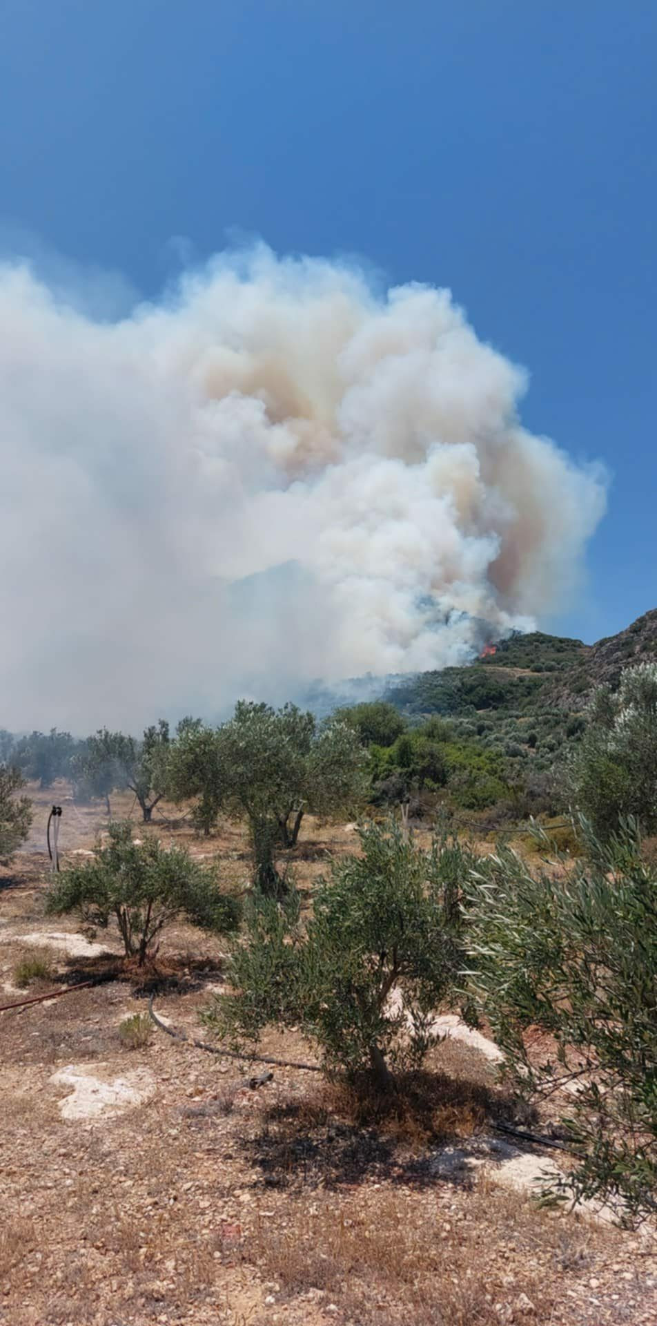 KARAVOSTASI NEW MESA 3 f395f