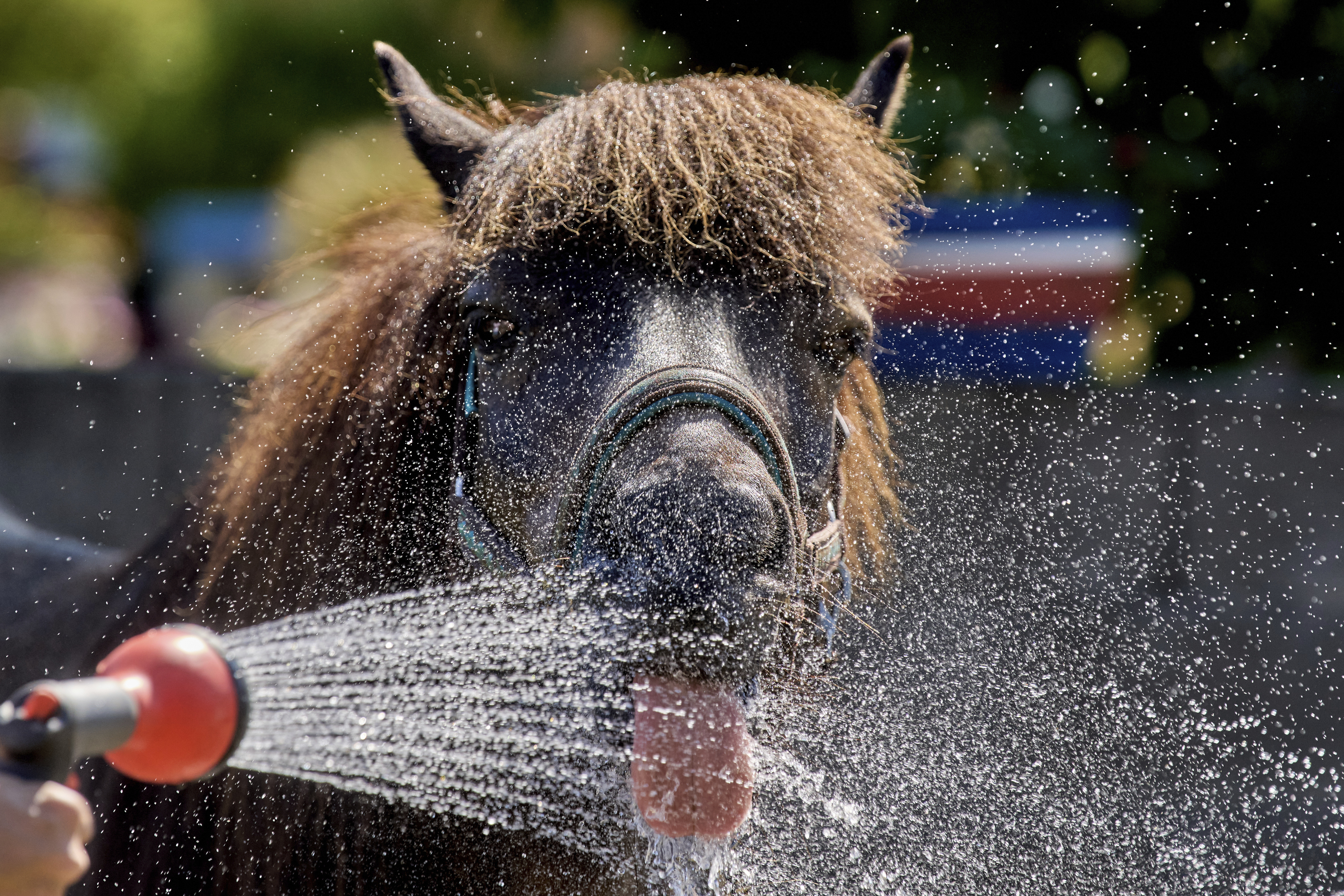 AP25181374305139 99c46