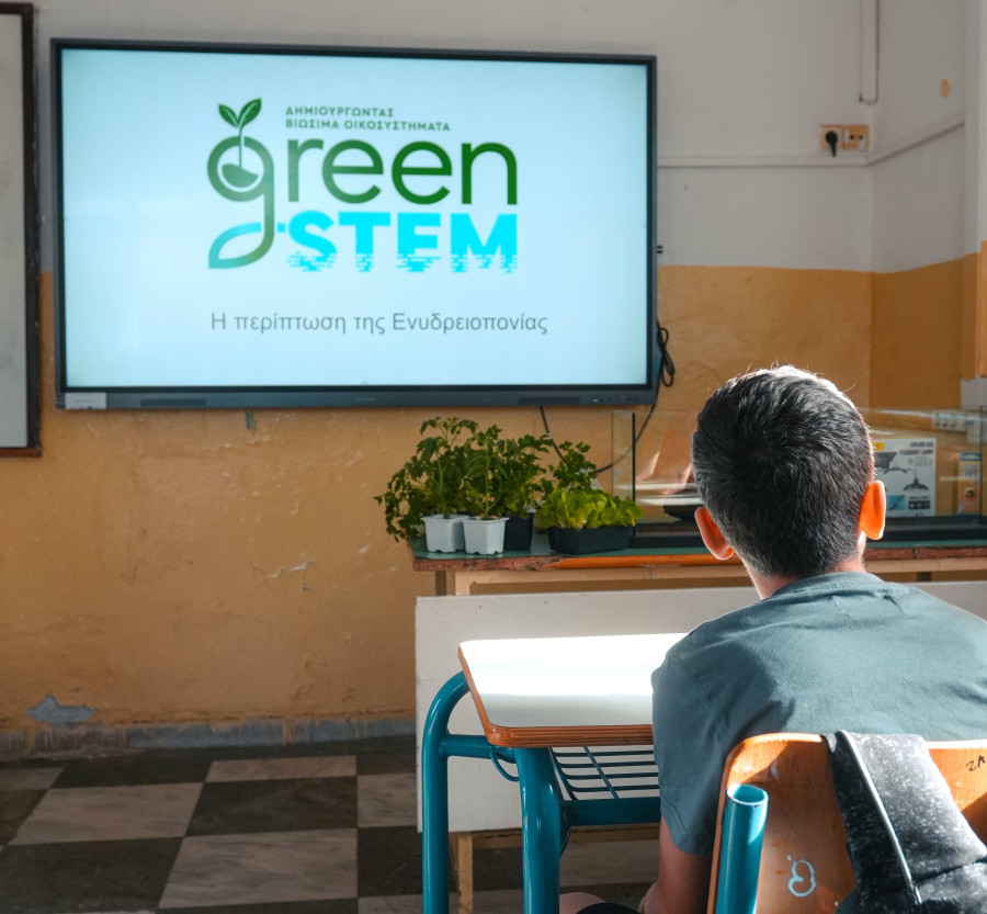 Green_stem_project_2_1_851bc.jpg