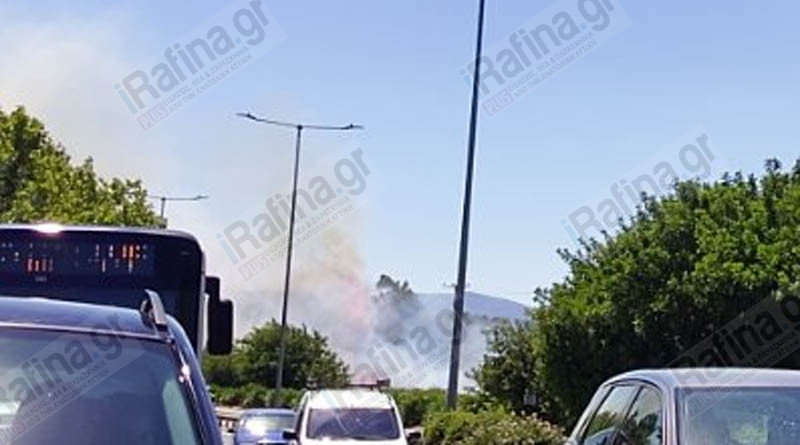 FOTIA KALLITEXNOUPOLI 2 5c608