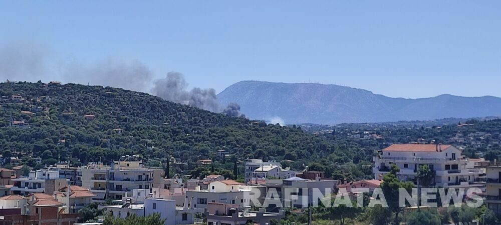 FOTIA RAFINATA NEWS eb601