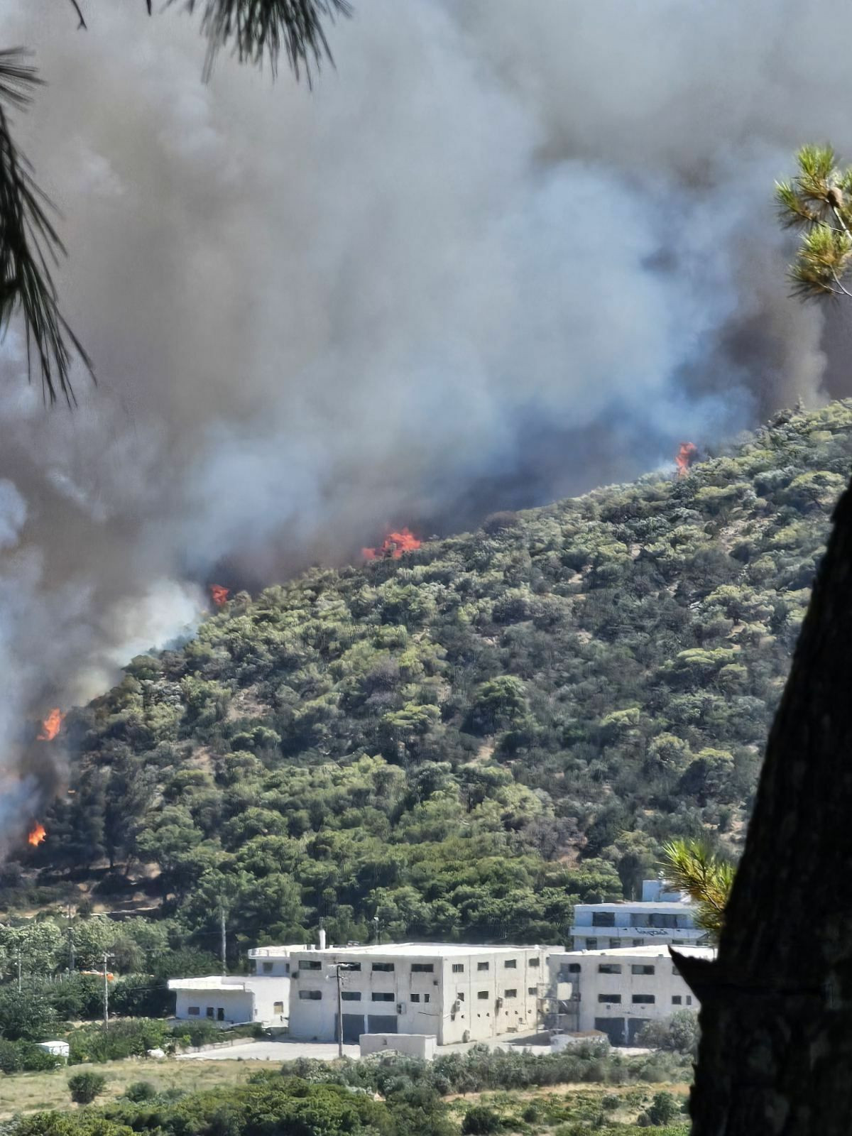 RAFINA VAGGELIS IOANNOU 9ecb9