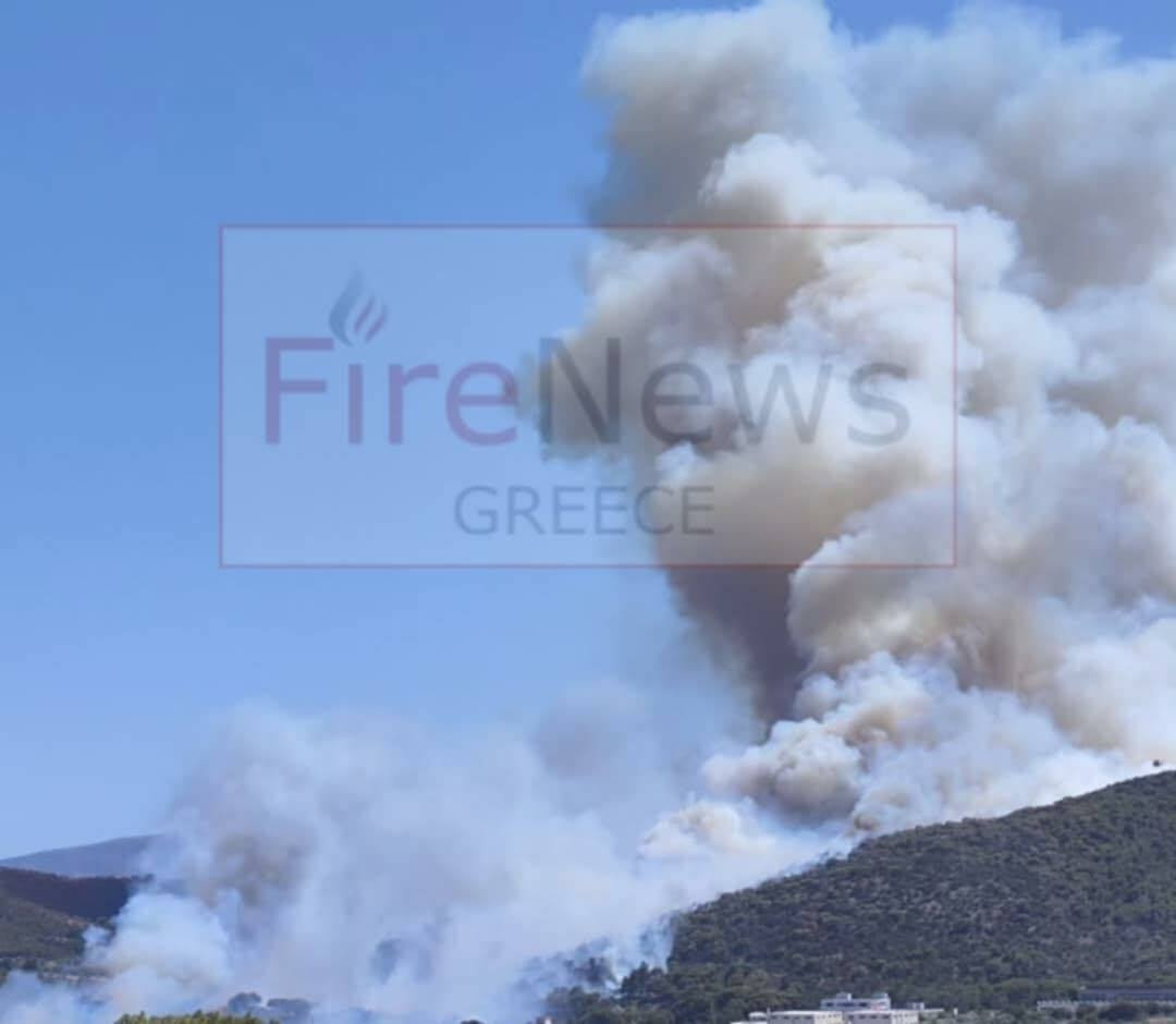 fotia rafina firenews bee2a