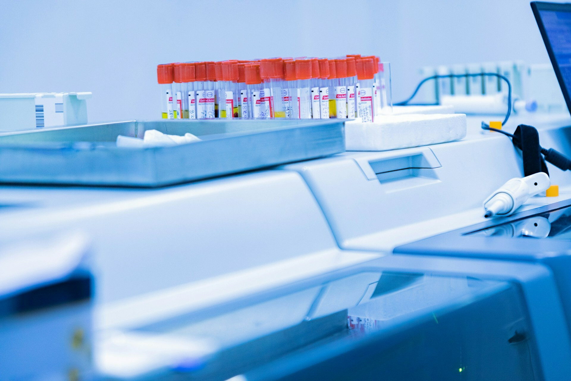 protais benjamin mugenzi AniWhid1Gu0 unsplash 031be