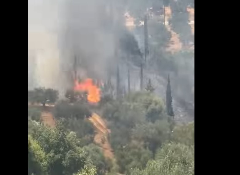 fotia 117 aigoaleia e8bbb