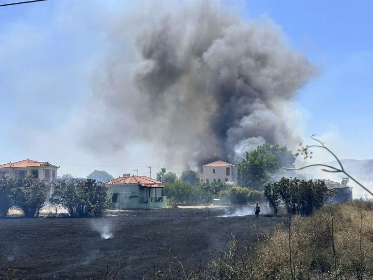 fotia lesvos 2 2012c