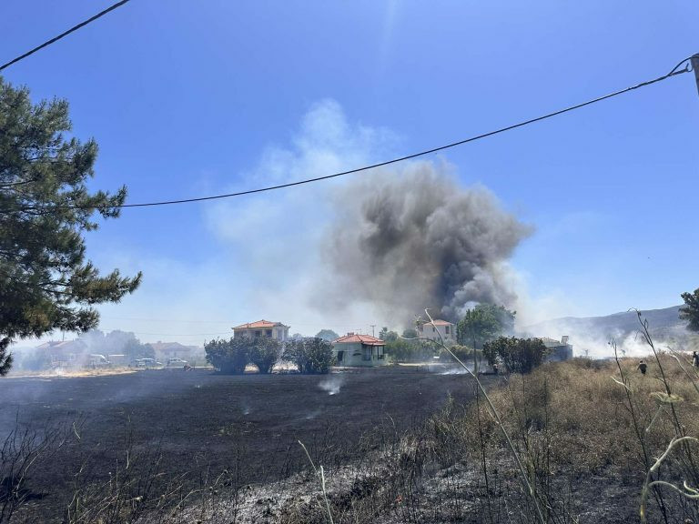 fotia lesvos 3 a2b21