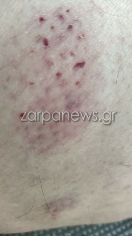 xelona marathi2 f72b7