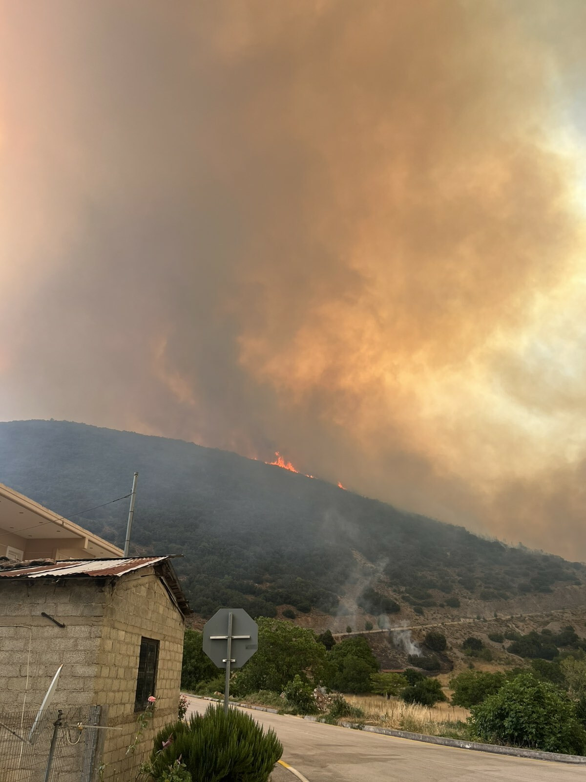 FOTIA ISMTHOS 227 d6c7c