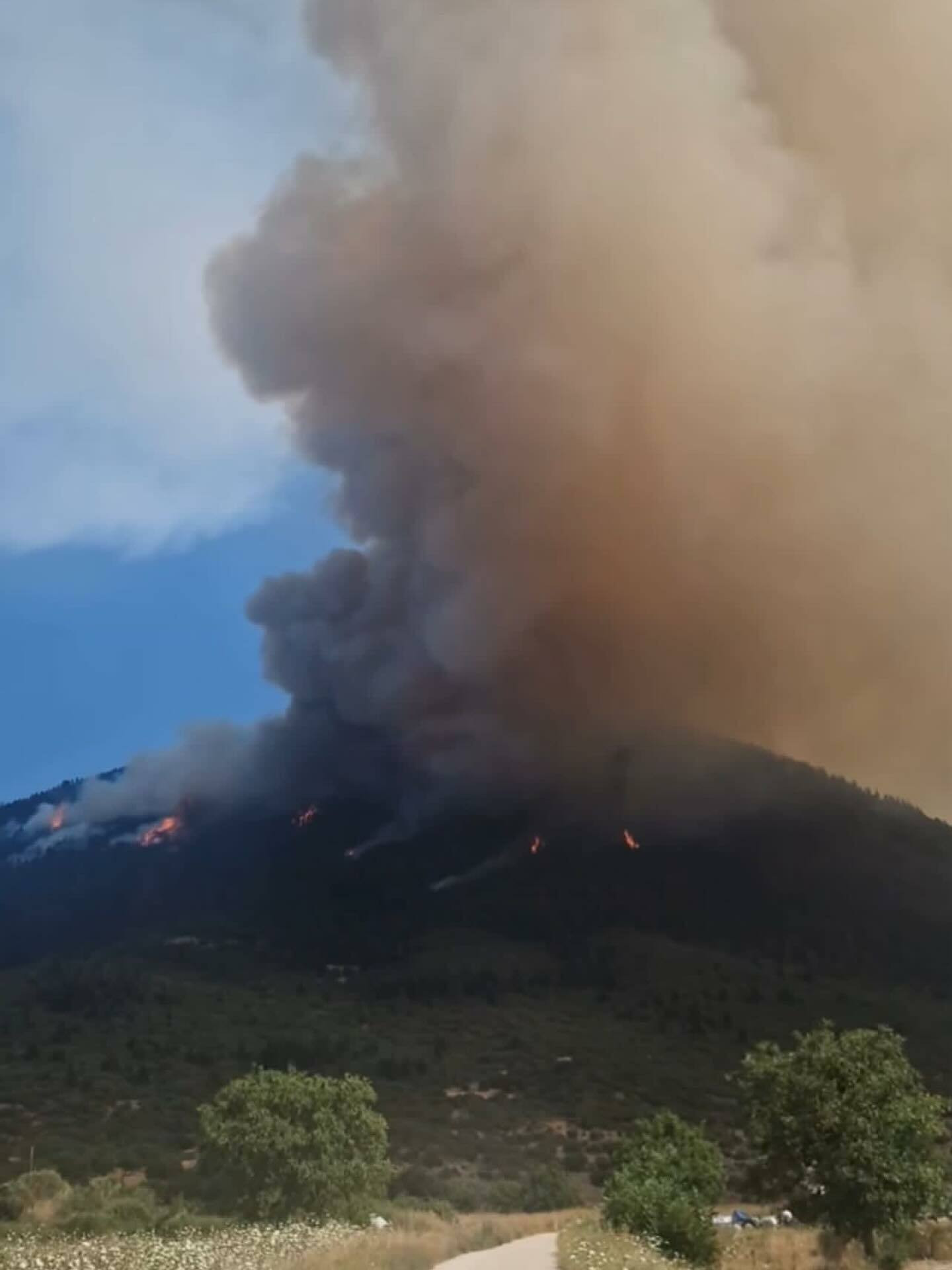 anazopirotri feneos 1b442