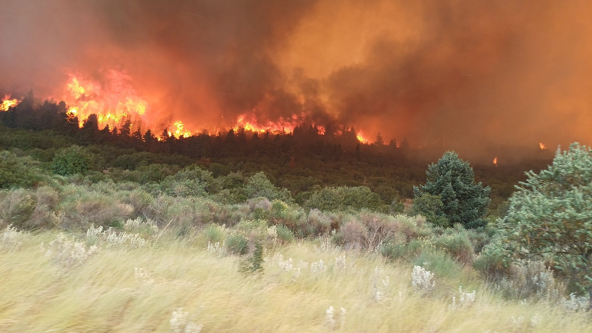 giannis siatos feneos d1447