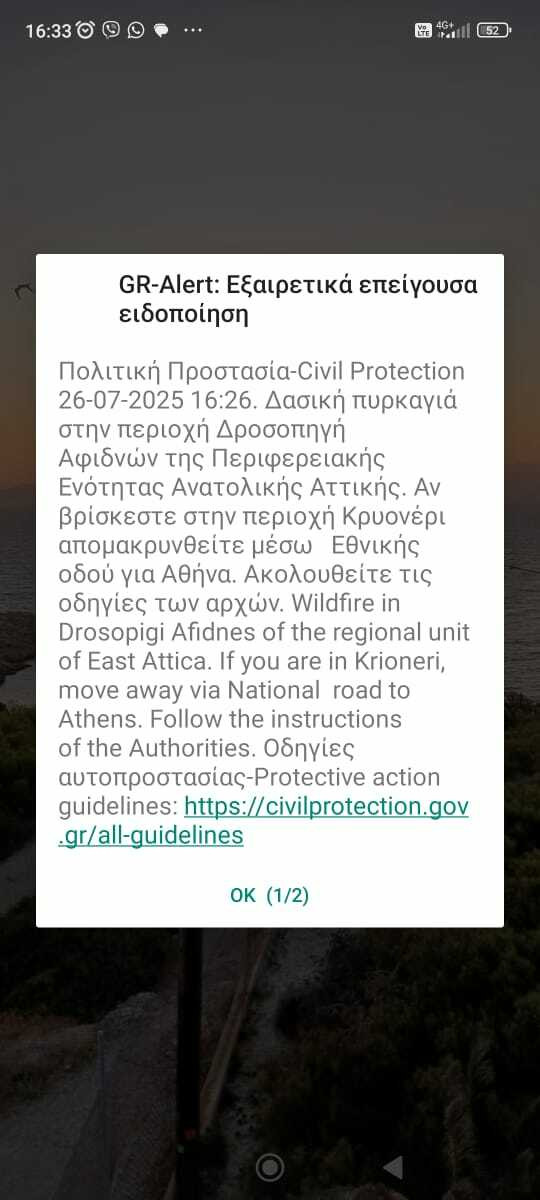 WhatsApp Image 2025 07 26 at 16.34.05 91b10