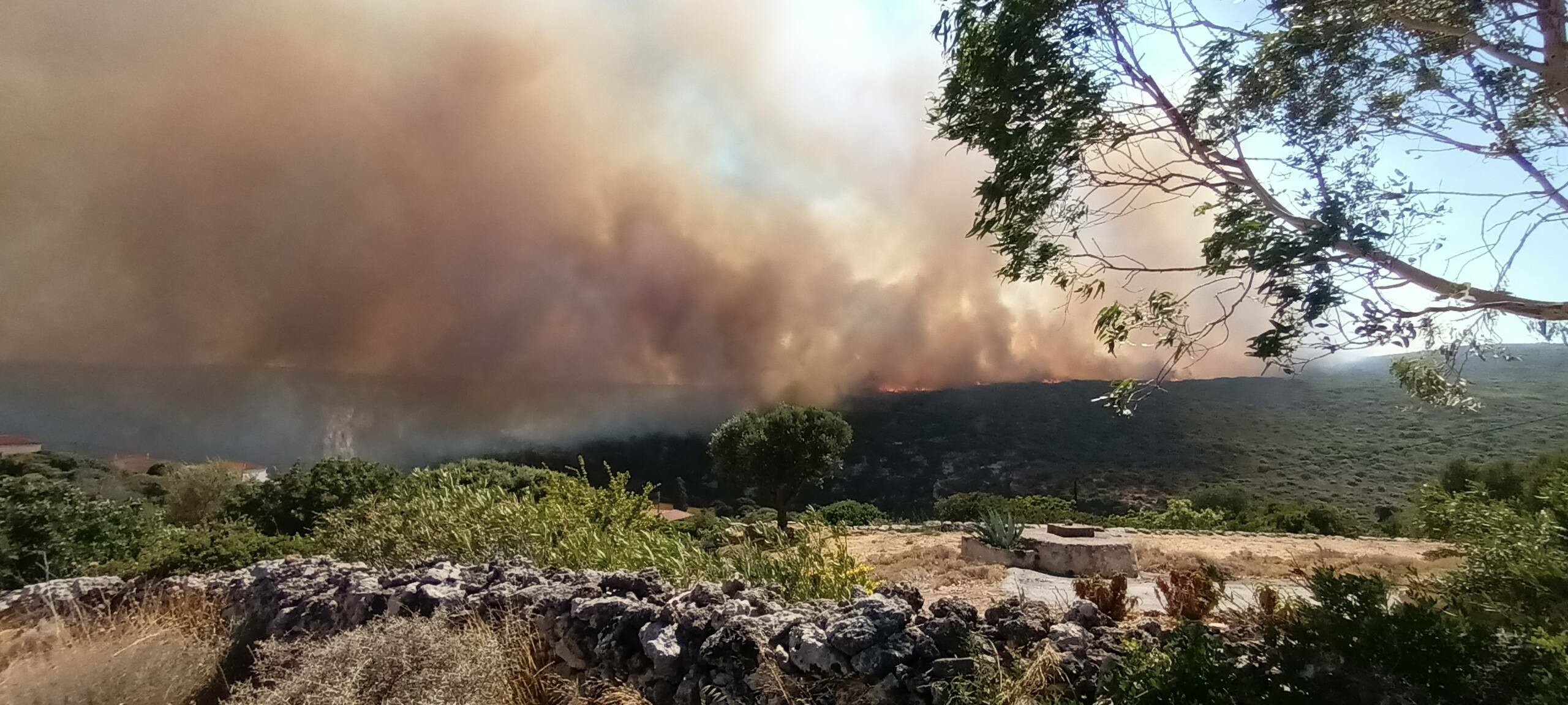 FOTIA KYTHERA PROVATARIS f1c06