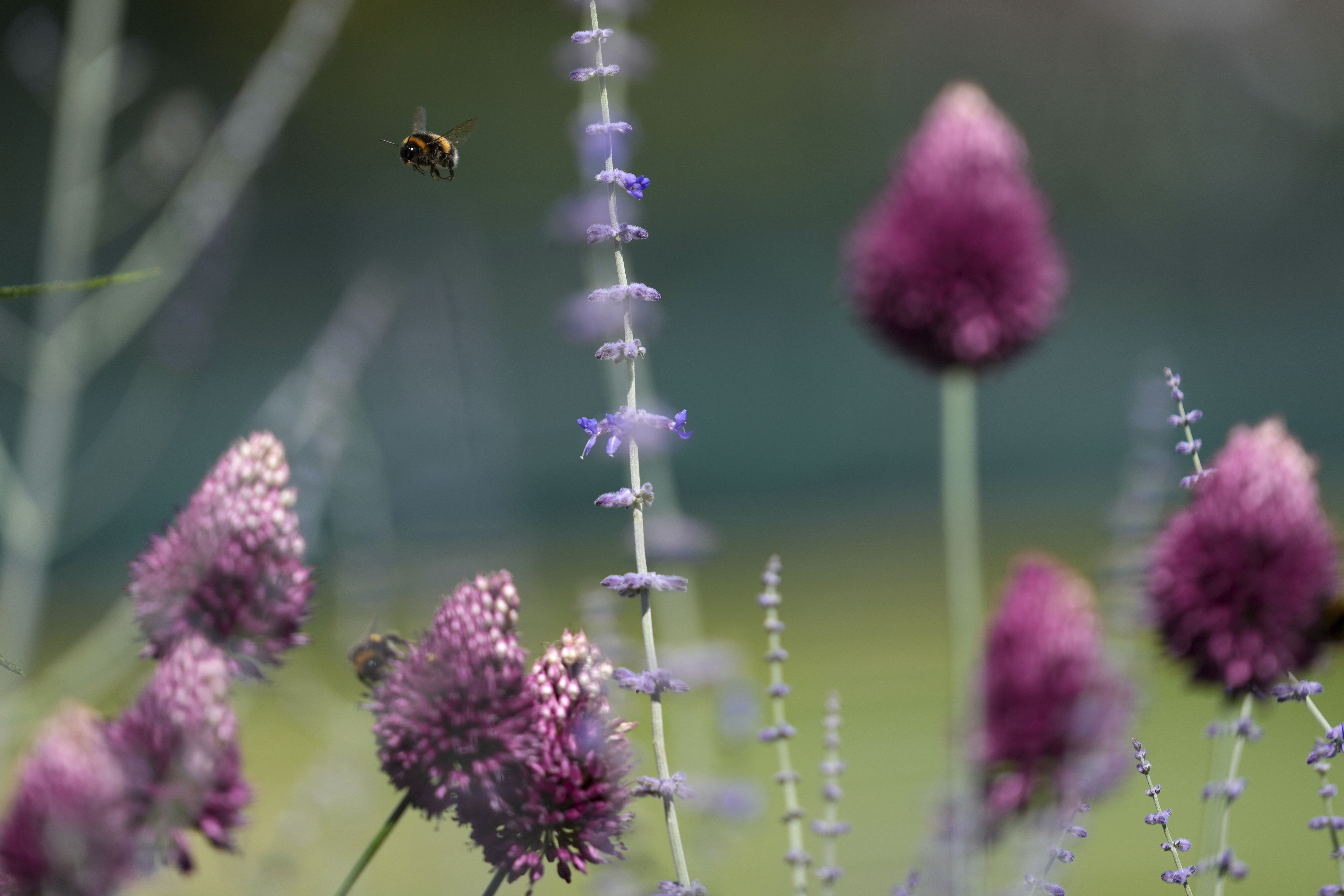 AP25189553643154 dd043