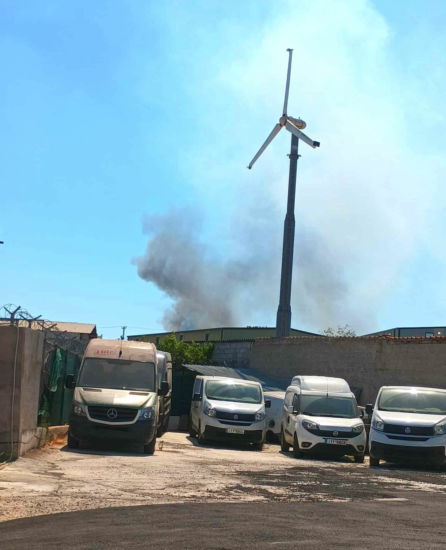 FOTIA KOROPI 2 297 ad22e