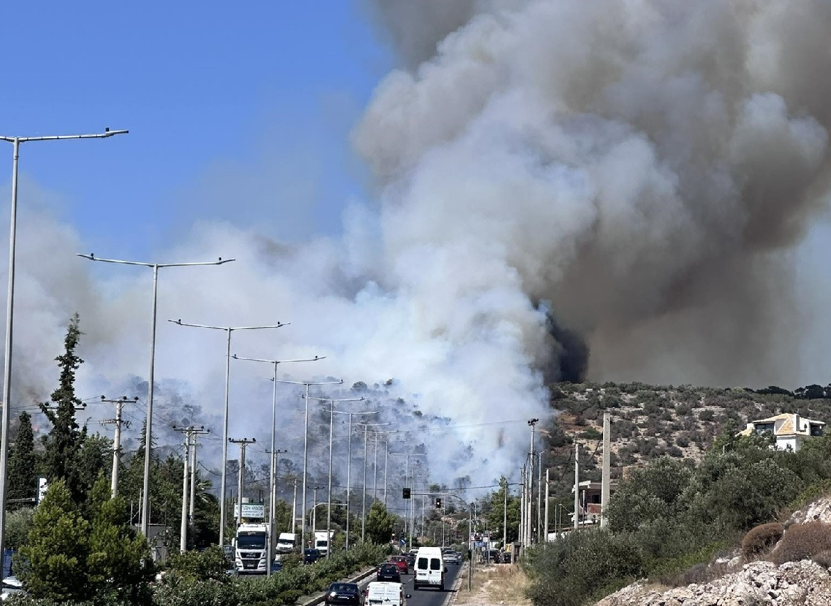 FOTIA KOROPI EXOFYLLO 122b3