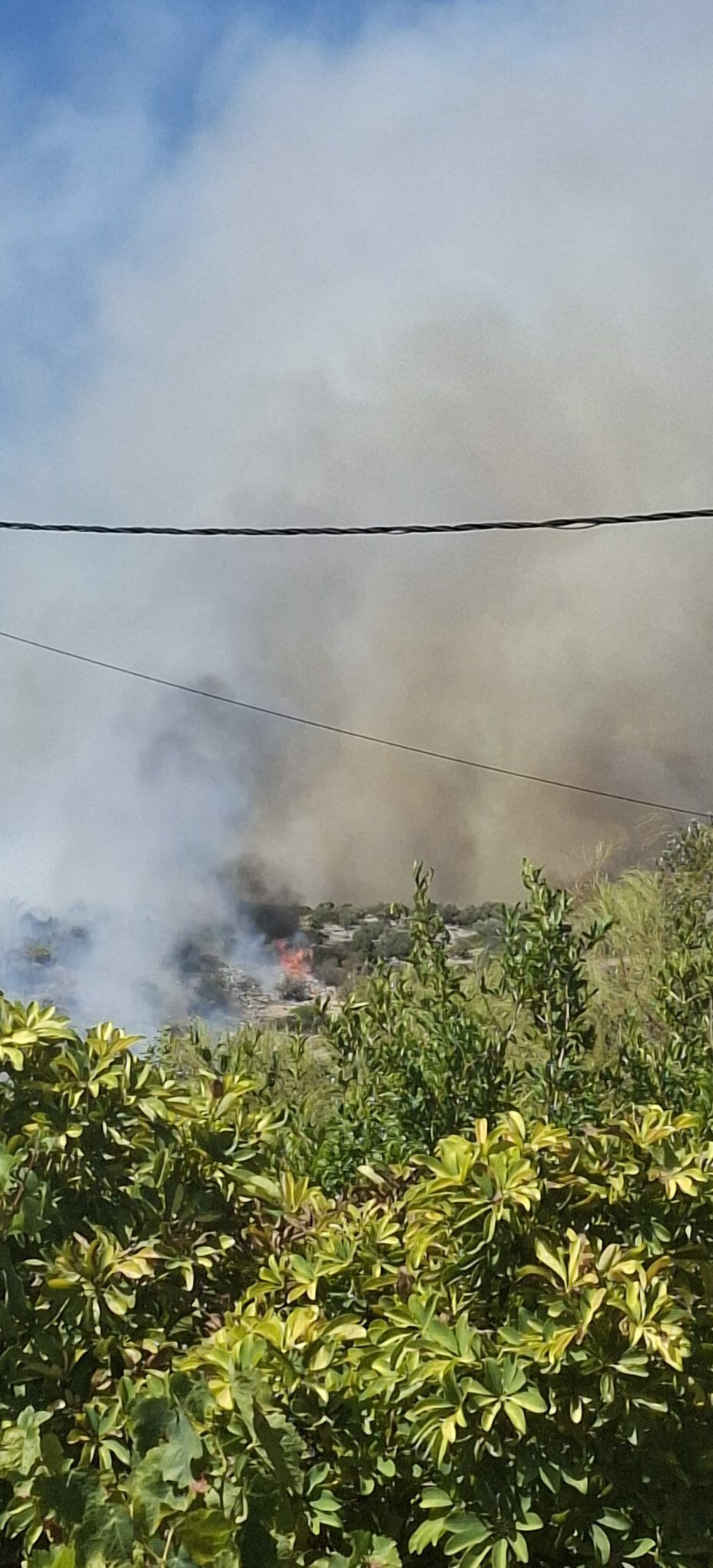 fotia korpoi 2 04d92