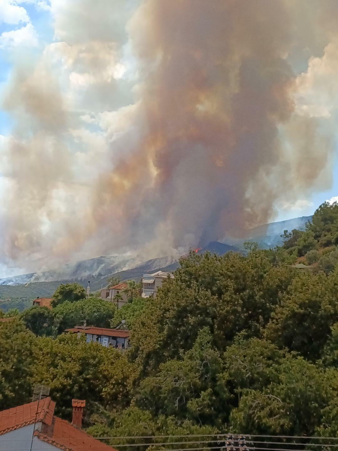 fotia larisa 297 53da6