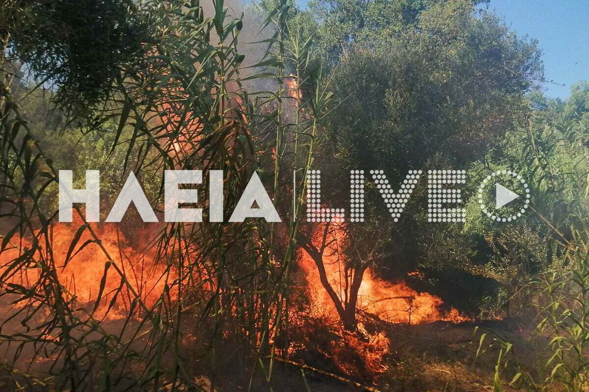 Fotia Melissa 3 94dea