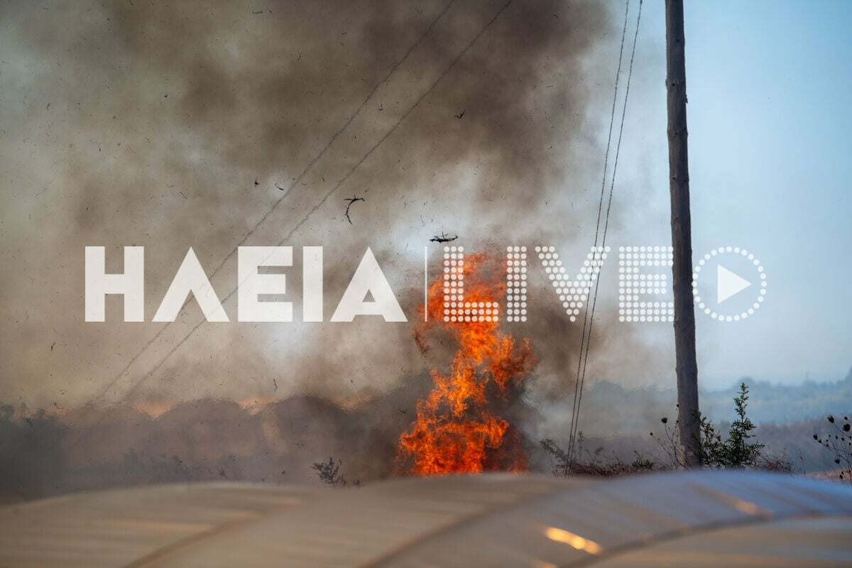 fotia melissa 4 959ac