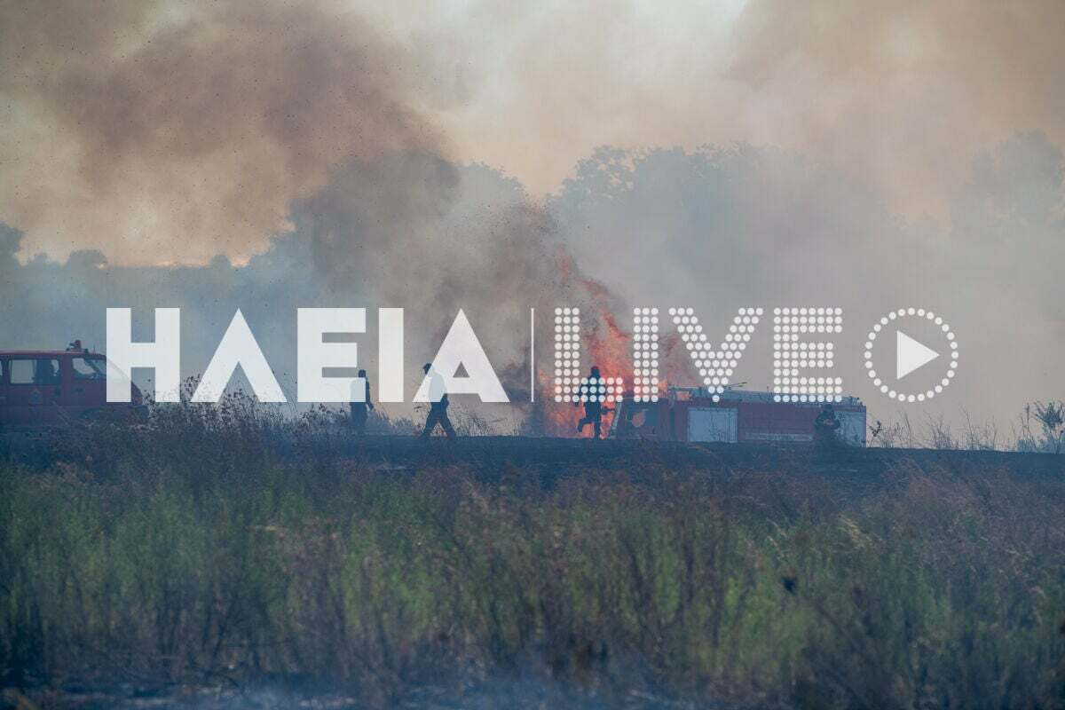 fotia melissa 8 579aa