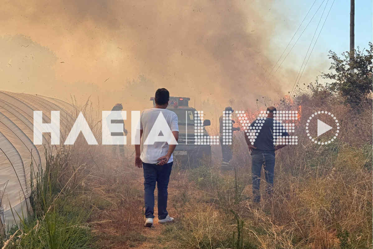 fotia melissa 1 1319a