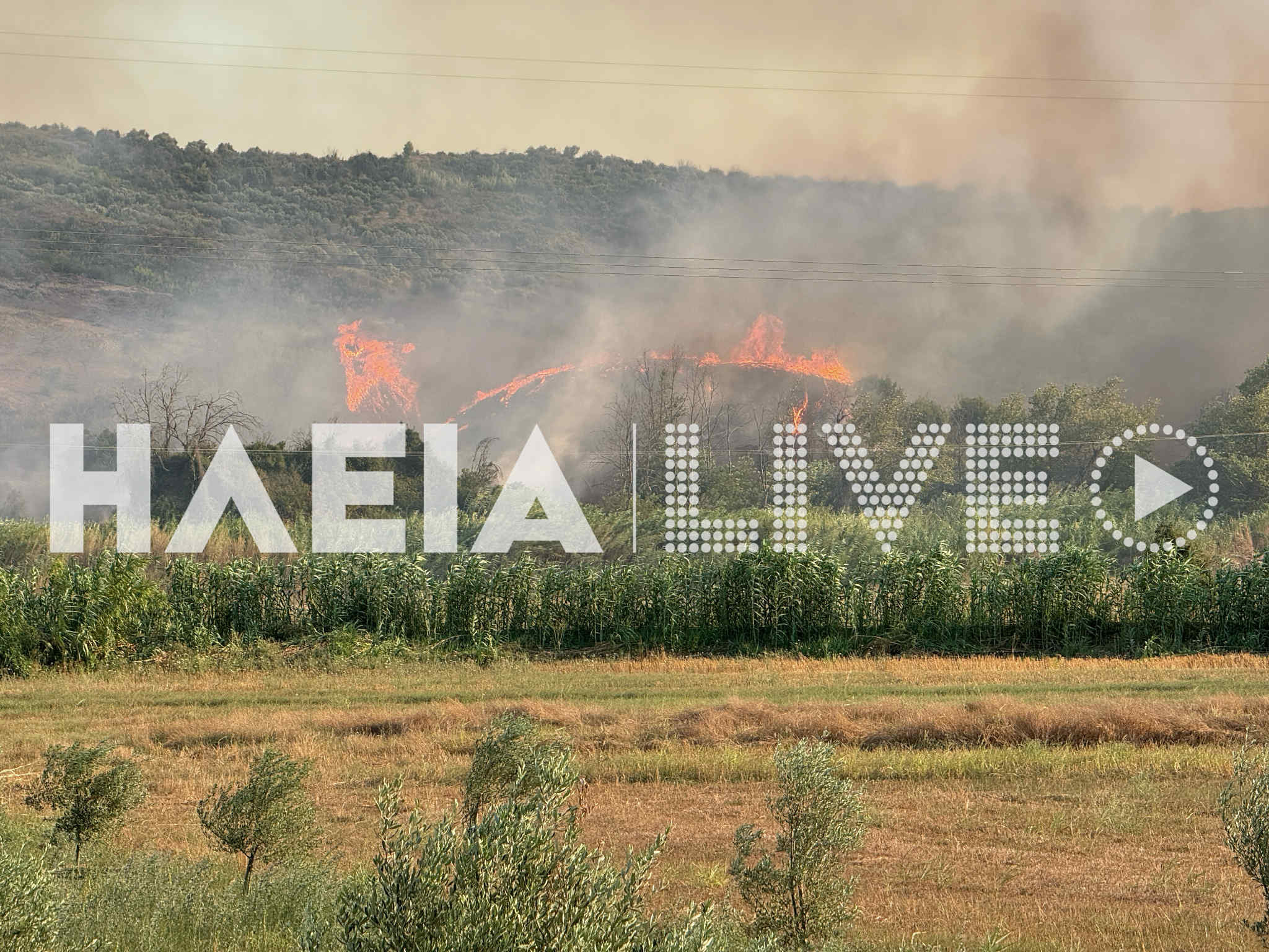 fotia xelidoni plagia b76c5