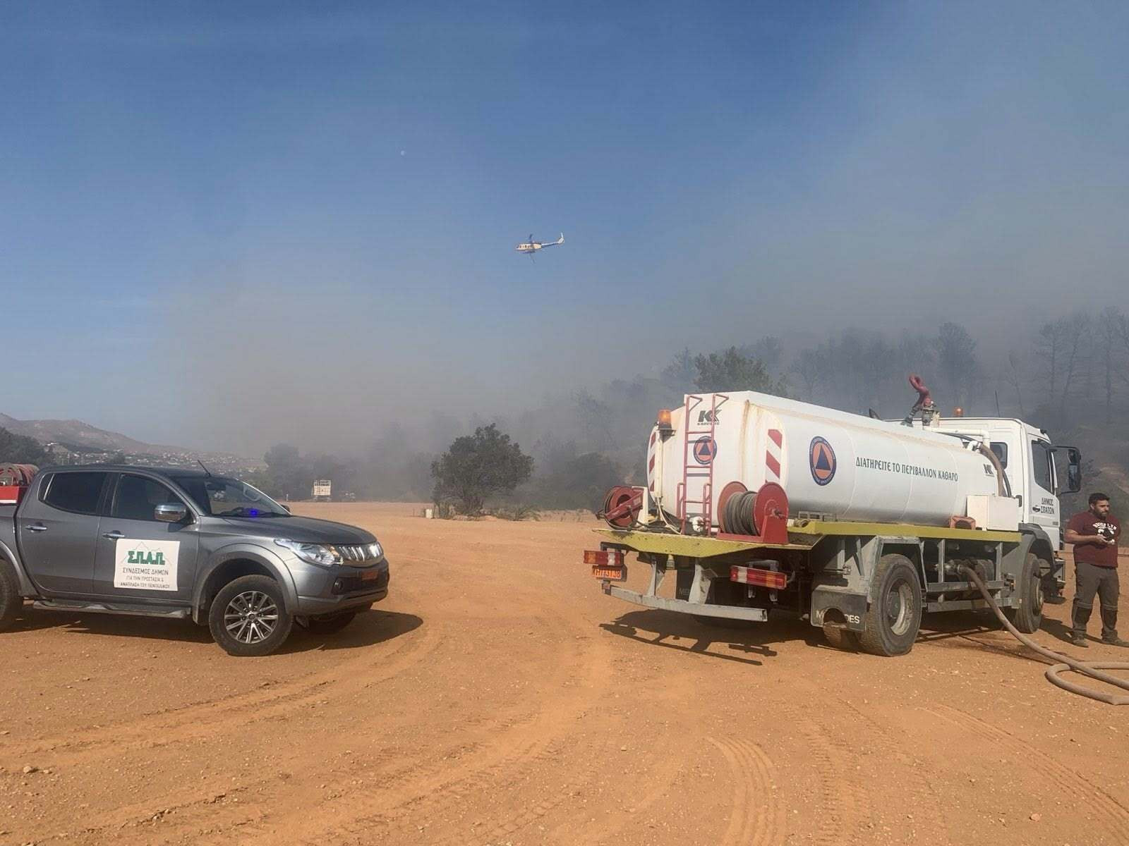 FOTIA PAIANIA 26891 f1778