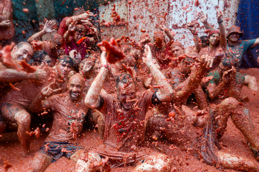 tomatina4_d249b.jpg