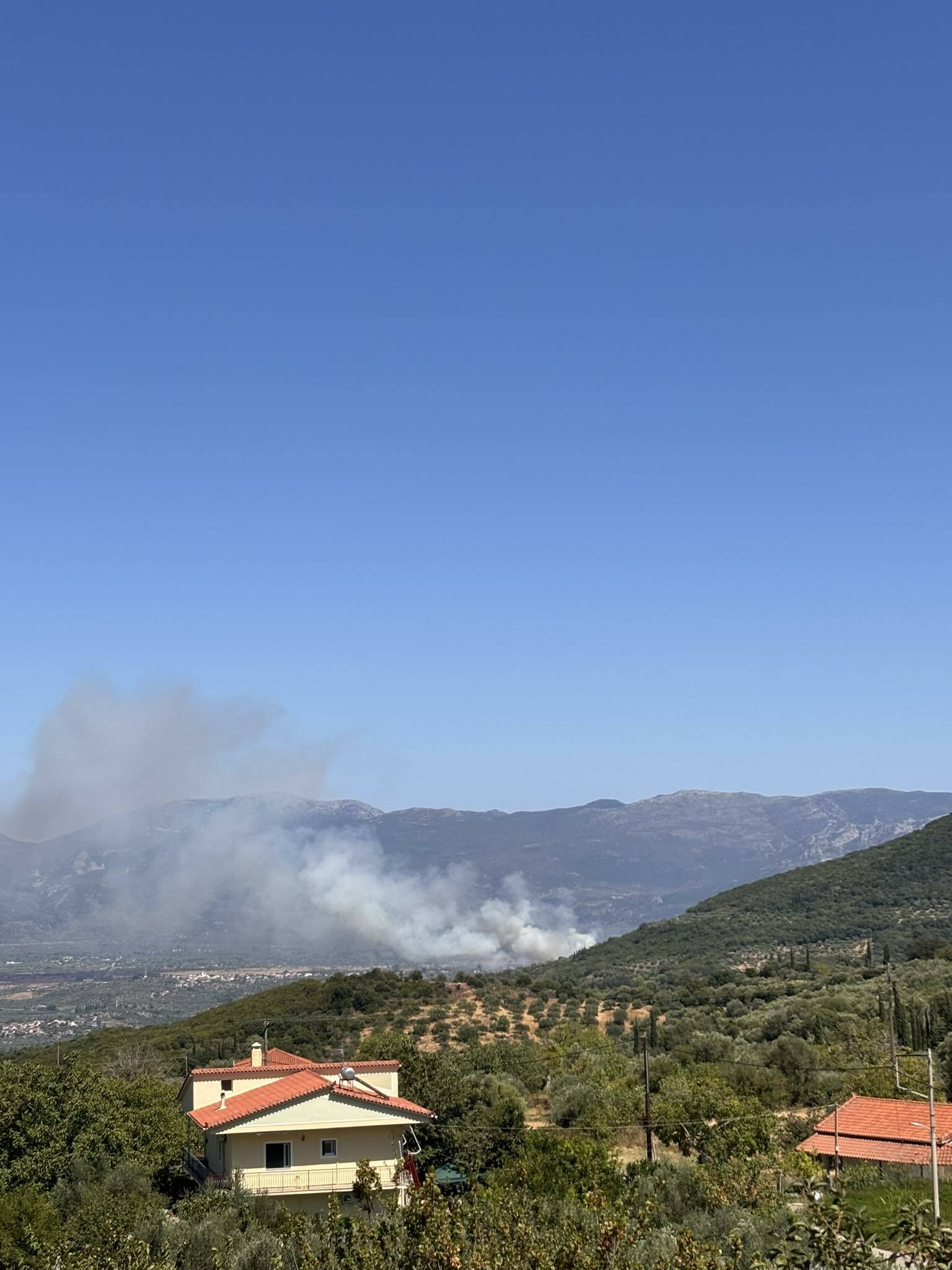 meligalas fotia 288 d120d