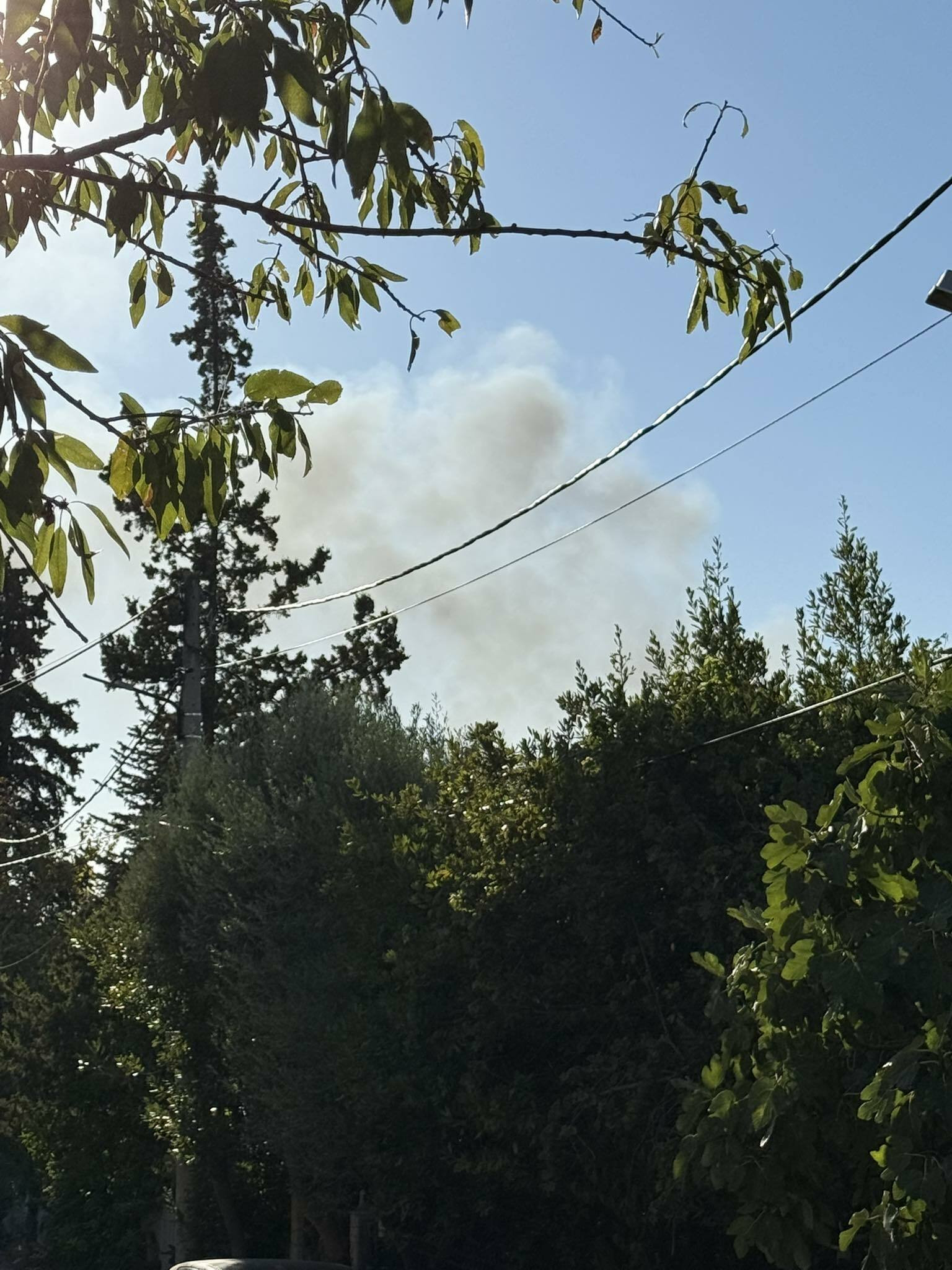 fotia axarnes svolou 8489d