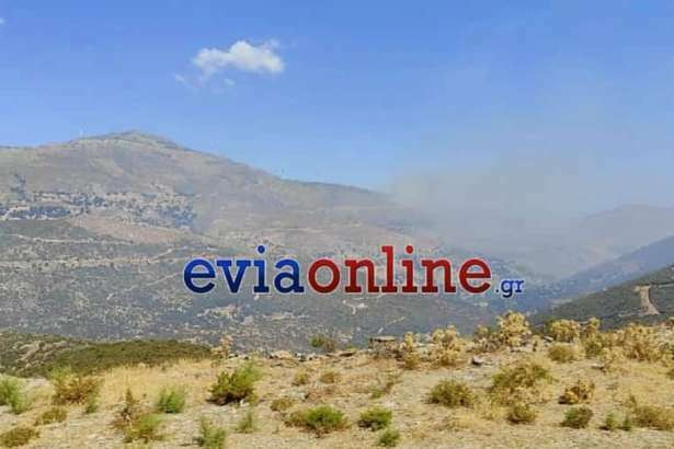 fotia eviaonline e16af