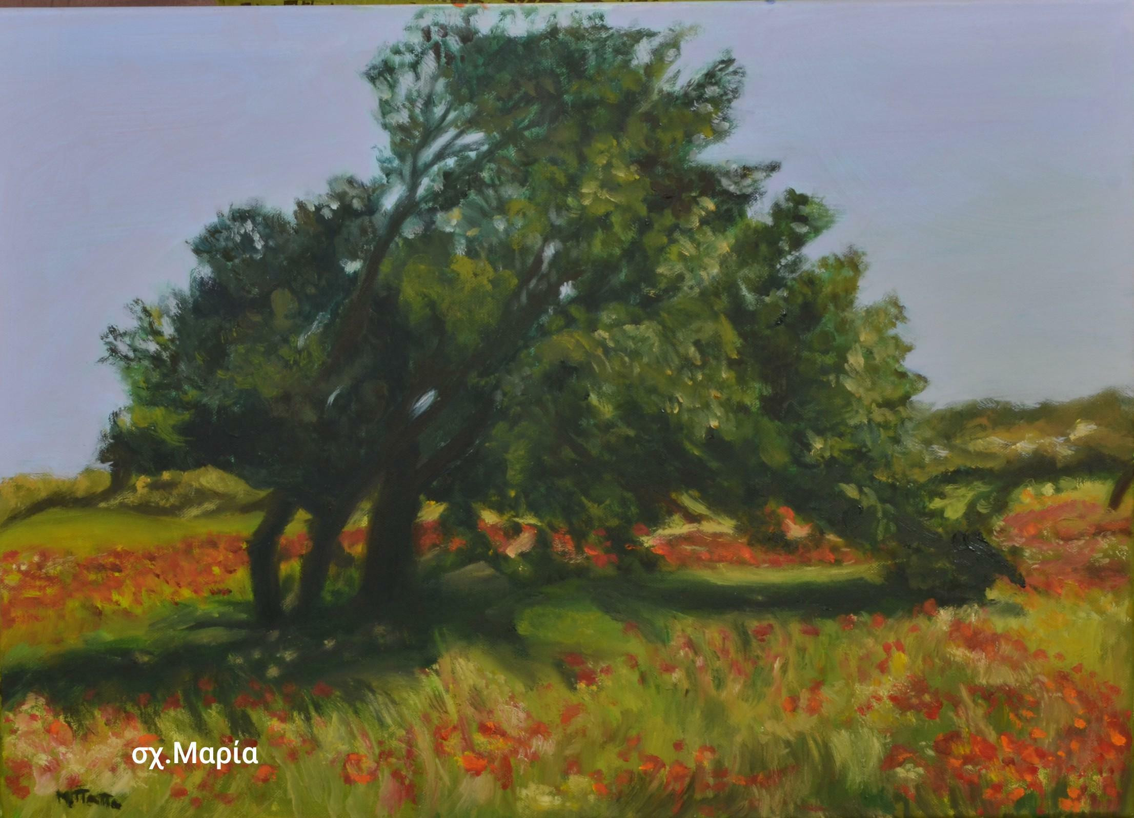 IMG 20250912 221024 63e86