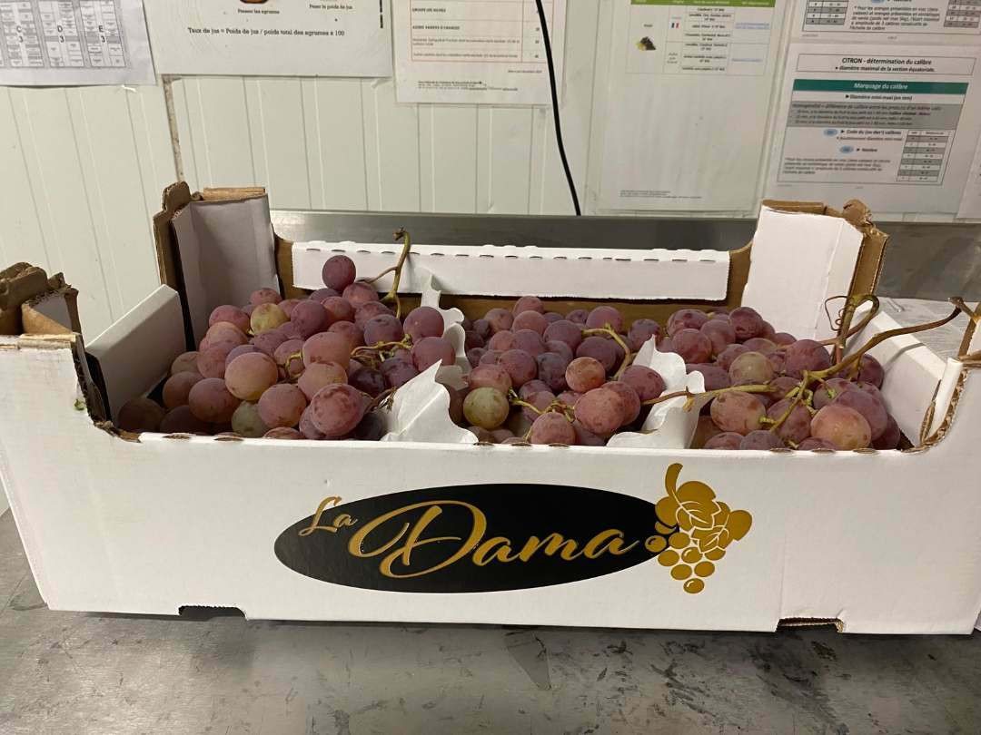 anaklisi stafylia bbab4