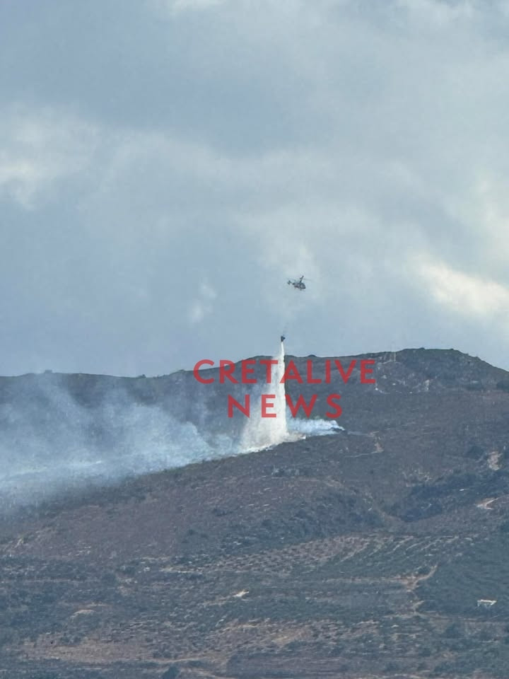 fotia meleses 310 804e8