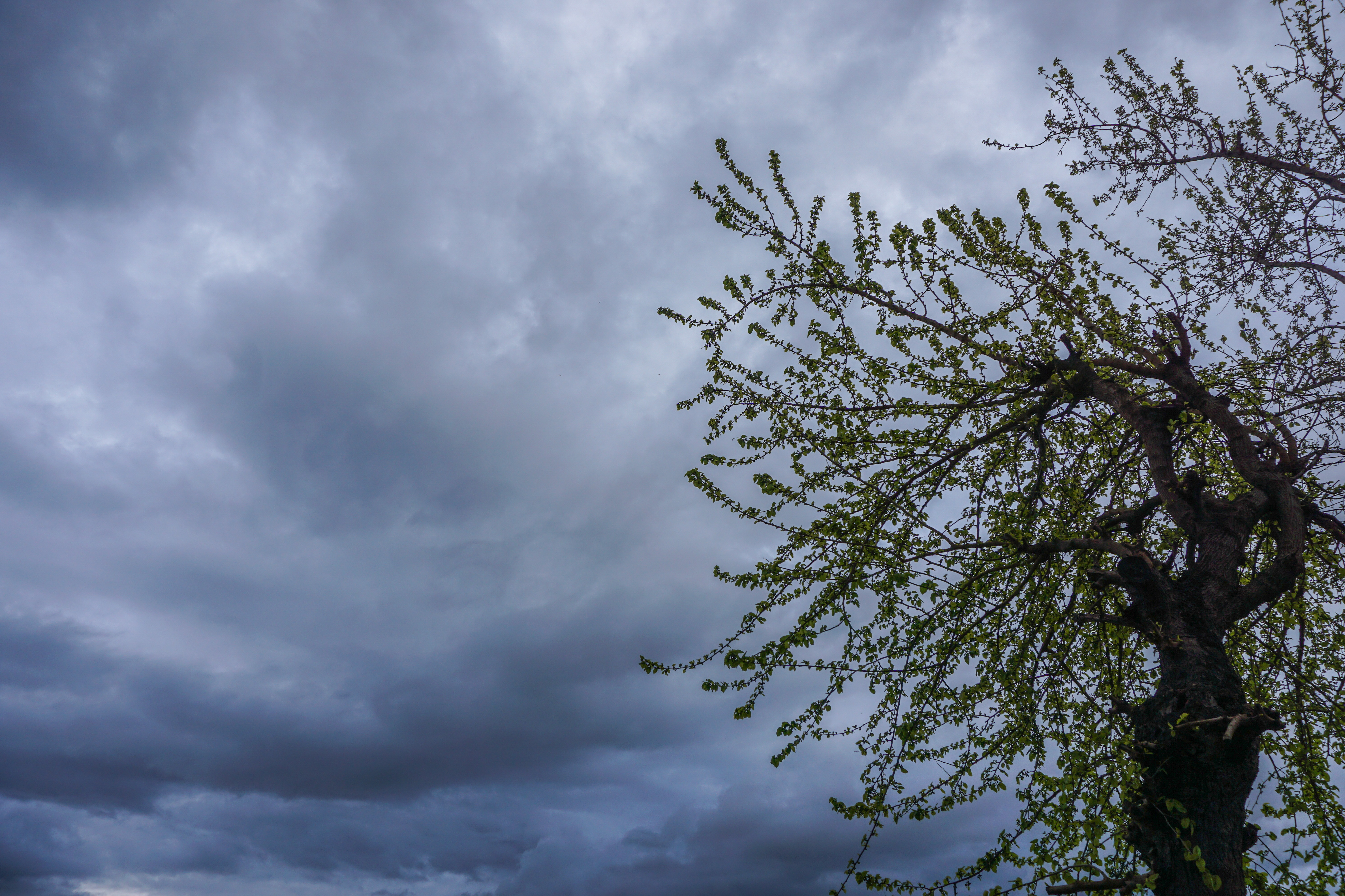 kataigida eurokinissi 224 348fd