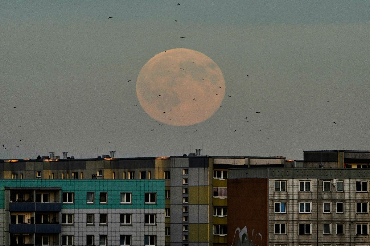 panselhnos germania mesa 3f6c1