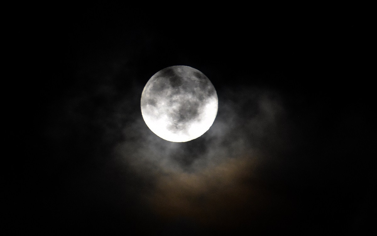 panselhnos mesa3 cfc00